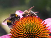 20100518100921-e34298a7