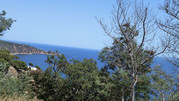 IMG-20260621-145104095