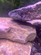 WhatsApp Image 2025-08-17 at 00.14.49