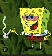 'Screenshot-20260420-131534-Chrome'/