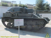 IMG-3202