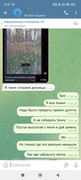 IMG-20250107-213251-768