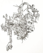 makiitanami-283518456-1096522530903792-5039220797256785305-n