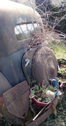 Screenshot-20230314-074013-Facebook.jpg
