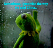 269601064_230137839308151_4663302629259167502_n