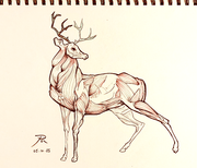 05-cerf.png