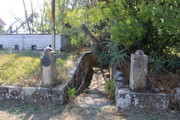 IMG-0271
