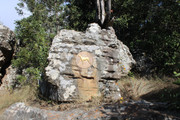 IMG-2709