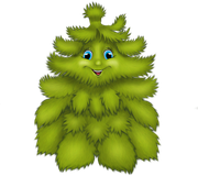 Christmas-in-Forest9