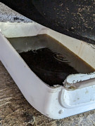 PXL-20230730-124819219.jpg