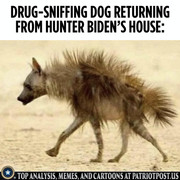 01G10RMJ8J41M1BCE4R8QFW2NC