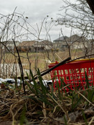 IMG-0989