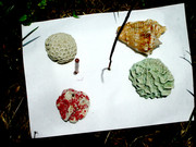 [Image: Solstice-13ao-t2005-12h33-DSCN1759.jpg]