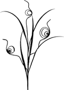 0_17d49c_7f96bc33_X5L