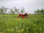 i.postimg.cc/ctnVBMmd/bikepics-2747209-full.jpg