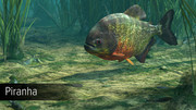 Ultimate-Fishing-Simulator-Amazon-River-CODEX-malabartown
