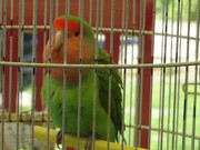 DSC08640.jpg