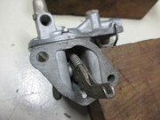 IMG-4369.jpg
