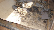 DSC02161