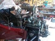 IMG-20210820-172258-1.jpg