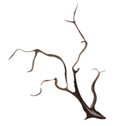 BC-ATaste-Of-Winter-El-87