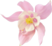 tumblr-fc316c686a13a8c88effc9700f6efed1-48eefe5a-250