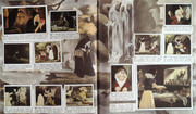 IMG-0015