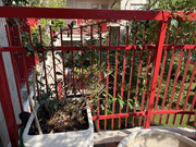 IMG-3778
