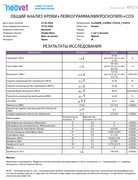 показатели общего анализа крови из вены расшифровка. референсные показатели анализа крови. результат пцр исследования. результаты исследований и их анализы. как выглядит анализ клинический анализ крови.