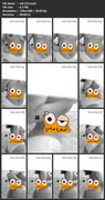 vid-(33)-mp4