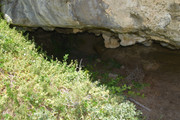 DSC-0973