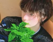 20250510_042536_copy_1229x984