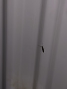 944FDCFC-72C0-4E76-98B9-202FAA6196CF