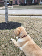 image_2023-02-02_225039511