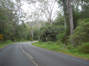DSCN3095
