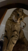 IMG-6885