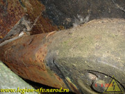 DSCN0151