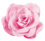Sweet-Love-MM-Element-53