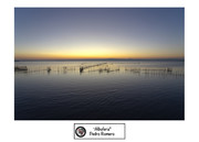Pedro-R-Albufera