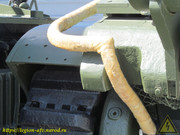 IMG-0798