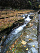 IMG-1979
