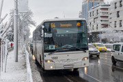 IMG-2962