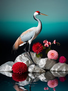 ComfyUI_FluxChromaHD_00068_