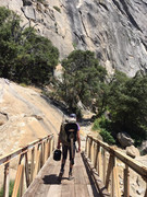 [Image: 021-FBB08-7-BEC-43-B1-8924-7967-EDAEF34-B.jpg]