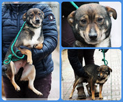 Be-Funky-collage-19.jpg&key=77505eb0d9d9