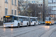 IMG-2394