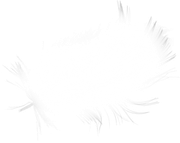 WINTER-LOVE-DBJ-ELEM-28