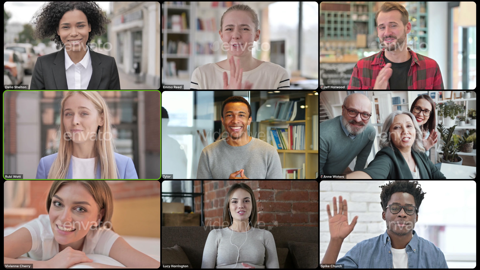 Zoom Views: Online Video Conference Toolkit - 17