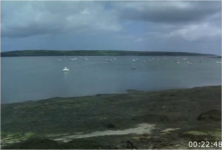 [Image: t66zen2ms7tz.png]