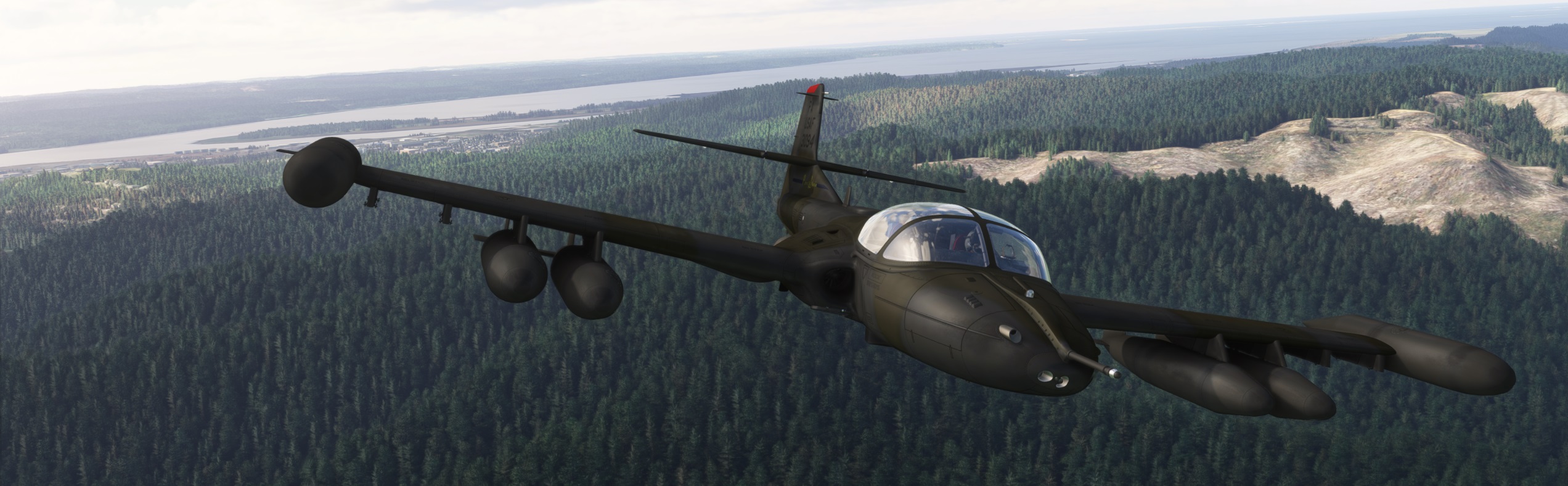 Best-Dragonfly.jpg